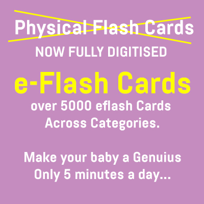 eFlash Cards